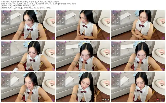 2026/02/13/mfc-tiny_cora-17-13-59