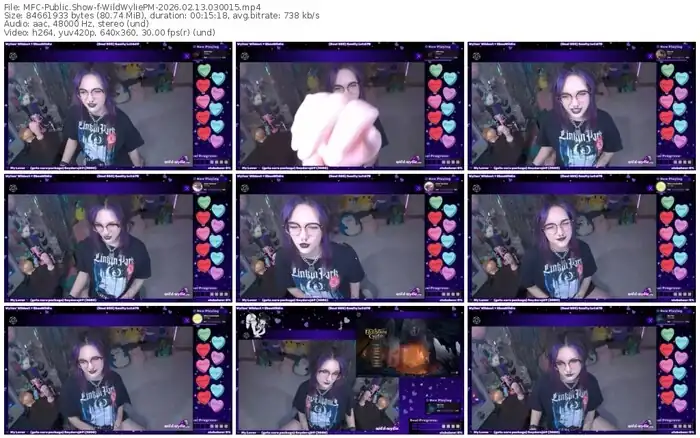 2026/02/13/mfc-wildwyliepm-03-00-15