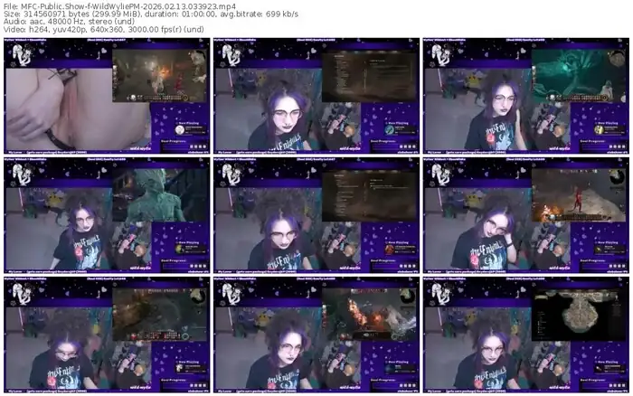 2026/02/13/mfc-wildwyliepm-03-39-23