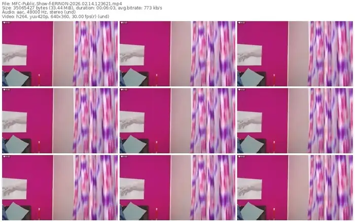 2026/02/14/mfc-erinon-12-36-21