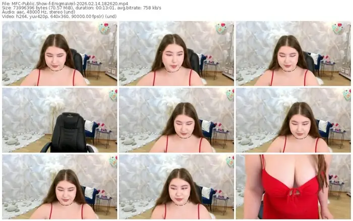 2026/02/14/mfc-enigmaveil-18-26-20