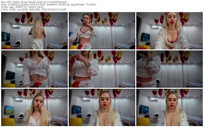 2026/02/14/mfc-evali-20-09-29