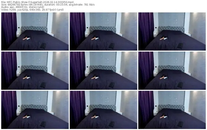 2026/02/14/mfc-sugarsalt-00-03-50