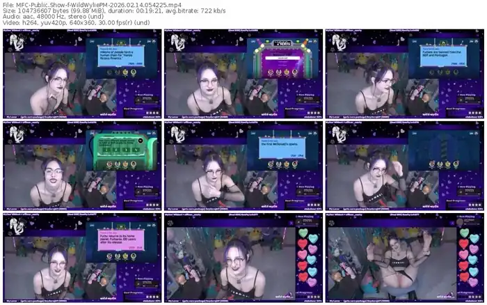 2026/02/14/mfc-wildwyliepm-05-42-25