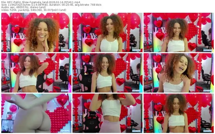 2026/02/14/mfc-pamela_land-05-54-11