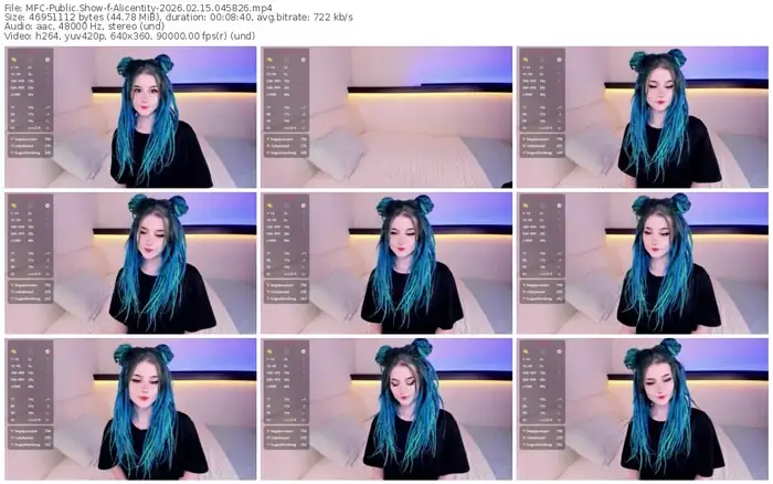 2026/02/15/mfc-alicentity-04-58-26