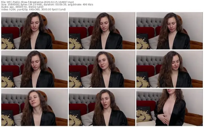 2026/02/15/mfc-breekanne-16-48-37