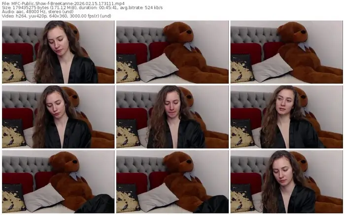 2026/02/15/mfc-breekanne-17-31-11