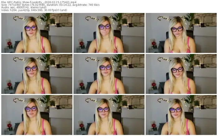 2026/02/15/mfc-leokitty_-17-54-21