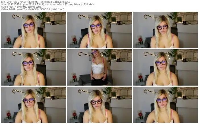 2026/02/15/mfc-leokitty_-18-14-53