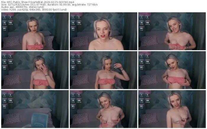 2026/02/15/mfc-scarletkat-04-37-40