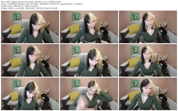 2026/02/15/mfc-vixendi-12-35-50