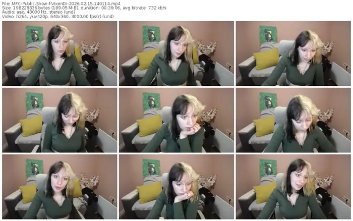 2026/02/15/mfc-vixendi-14-01-14