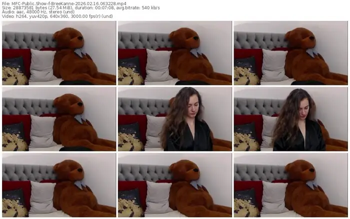 2026/02/16/mfc-breekanne-06-32-28