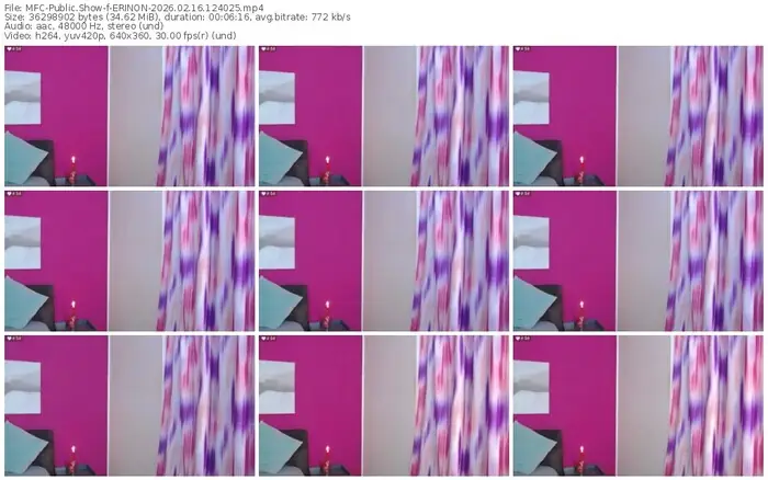 2026/02/16/mfc-erinon-12-40-25