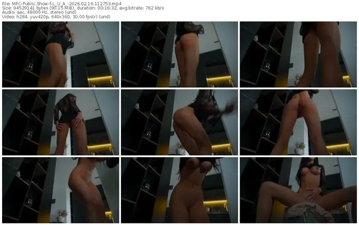 2026/02/16/mfc-l_u_a_-11-27-53