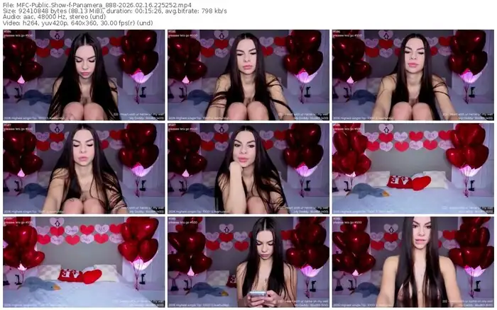 2026/02/16/mfc-panamera_888-22-52-52