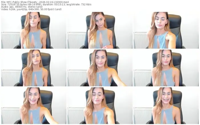 2026/02/16/mfc-tweety_-13-23-00