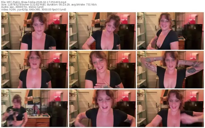 2026/02/17/mfc-ailia-05-14-03