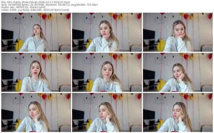 2026/02/17/mfc-evali-00-31-37