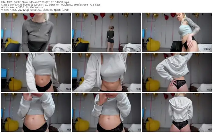 2026/02/17/mfc-evali-15-46-08