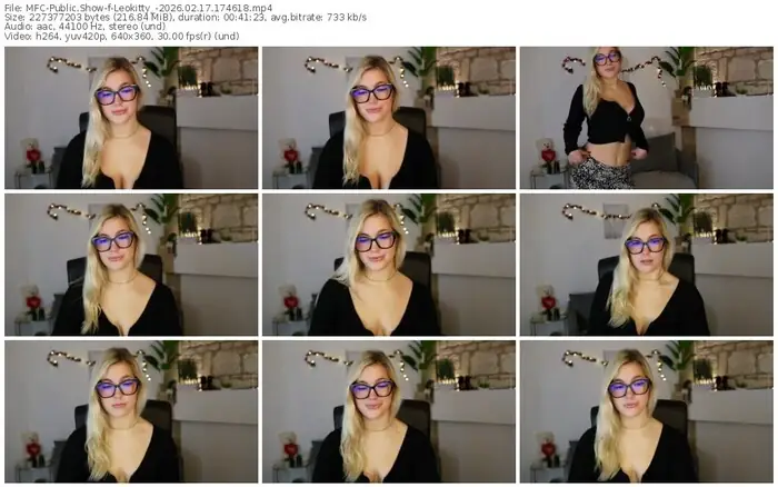 2026/02/17/mfc-leokitty_-17-46-18