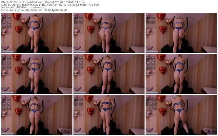 2026/02/17/mfc-redhead_shark-00-21-24