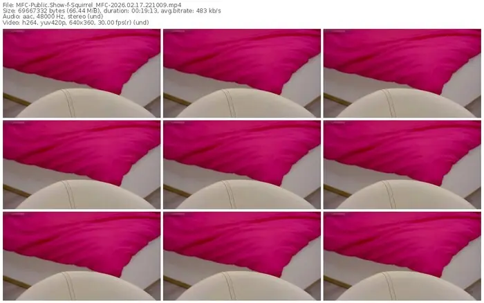 2026/02/17/mfc-squirrel_mfc-22-10-09