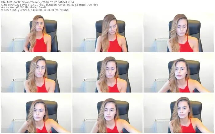 2026/02/17/mfc-tweety_-14-16-41