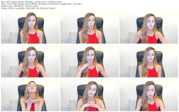 2026/02/17/mfc-tweety_-14-54-11