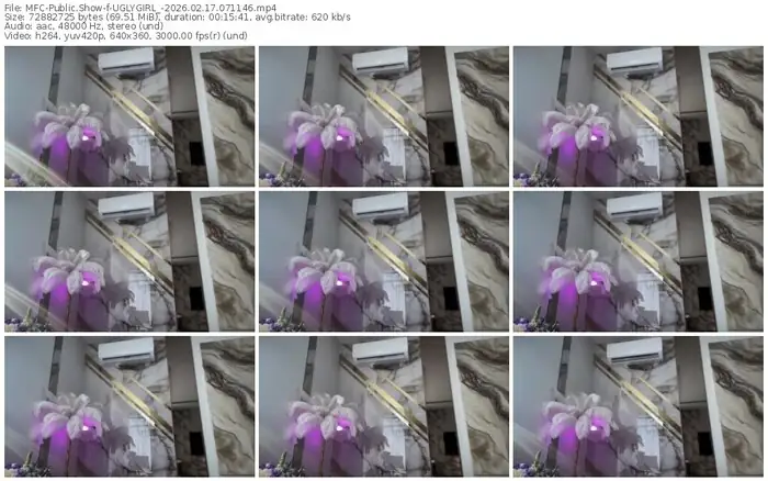 2026/02/17/mfc-uglygirl_-07-11-46