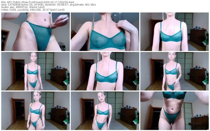 2026/02/17/mfc-unfluxed-19-22-33