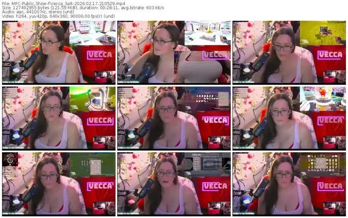 2026/02/17/mfc-vecca_salt-21-05-29