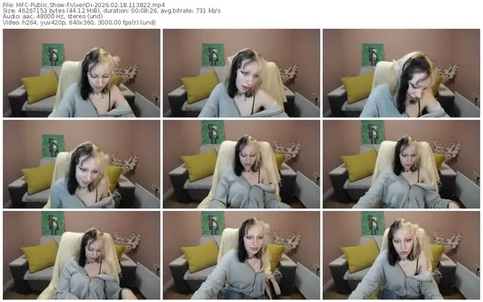 2026/02/18/mfc-vixendi-11-38-22