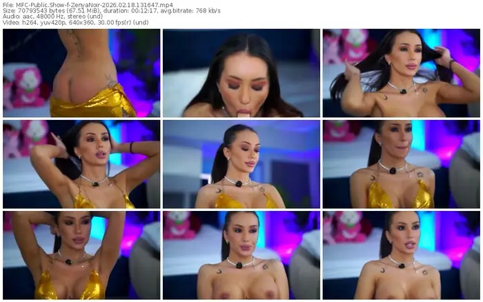 2026/02/18/mfc-zenyanoir-13-16-47