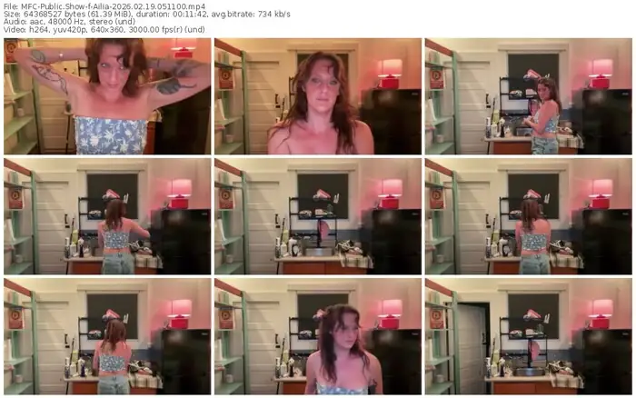 2026/02/19/mfc-ailia-05-11-00