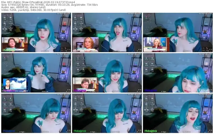 2026/02/19/mfc-pixiebrat-07-37-33