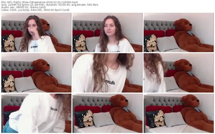 2026/02/20/mfc-breekanne-12-06-06