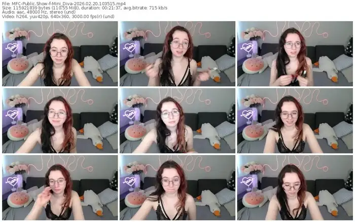 2026/02/20/mfc-mini_diva-10-35-15