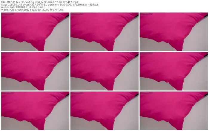 2026/02/20/mfc-squirrel_mfc-22-34-17