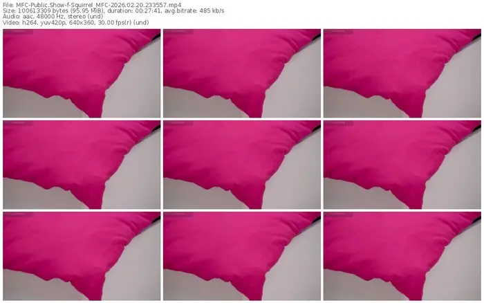 2026/02/20/mfc-squirrel_mfc-23-35-57