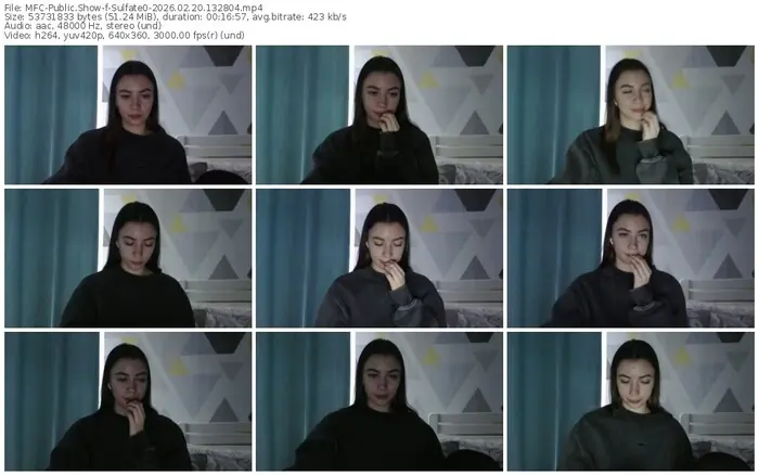 2026/02/20/mfc-sulfate0-13-28-04