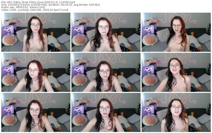 2026/02/21/mfc-mini_diva-11-45-56