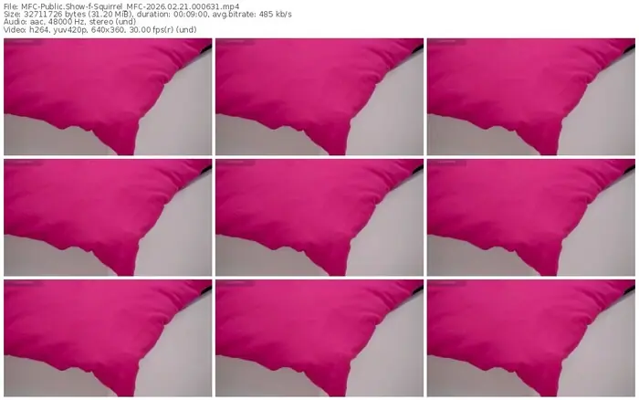 2026/02/21/mfc-squirrel_mfc-00-06-31