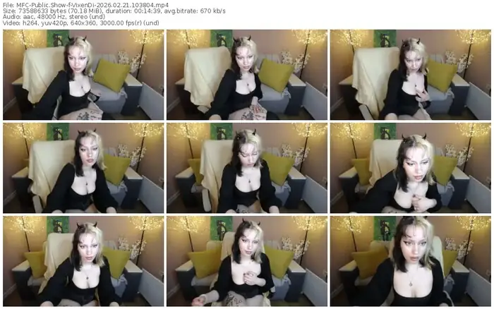 2026/02/21/mfc-vixendi-10-38-04