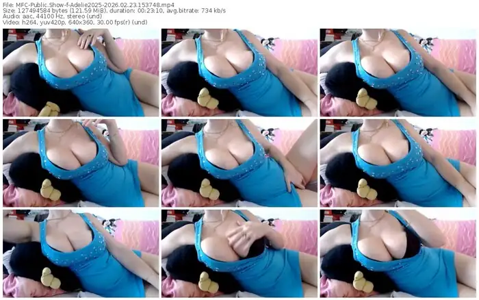 2026/02/23/mfc-adelie2025-15-37-48