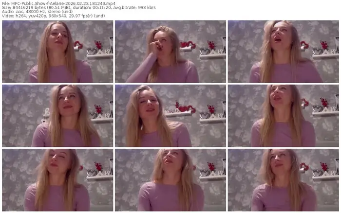 2026/02/23/mfc-aelarie-18-12-43