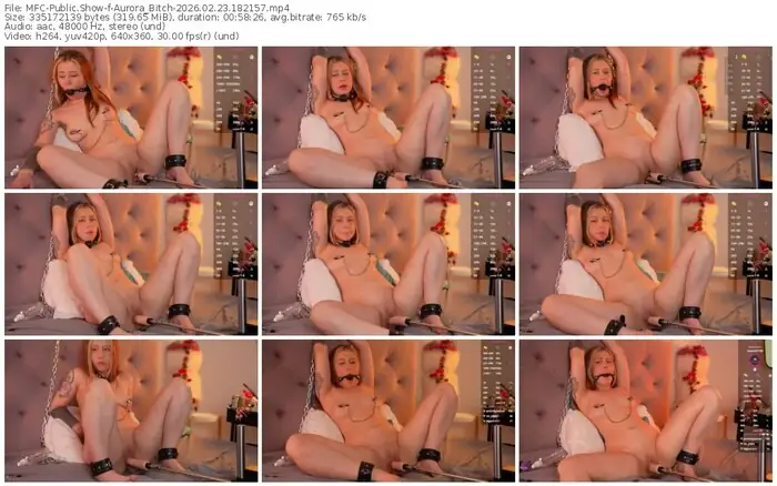 2026/02/23/mfc-aurora_bitch-18-21-57