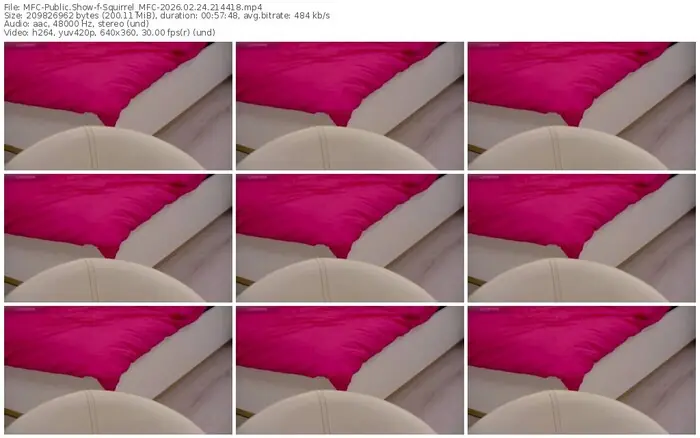 2026/02/24/mfc-squirrel_mfc-21-44-18