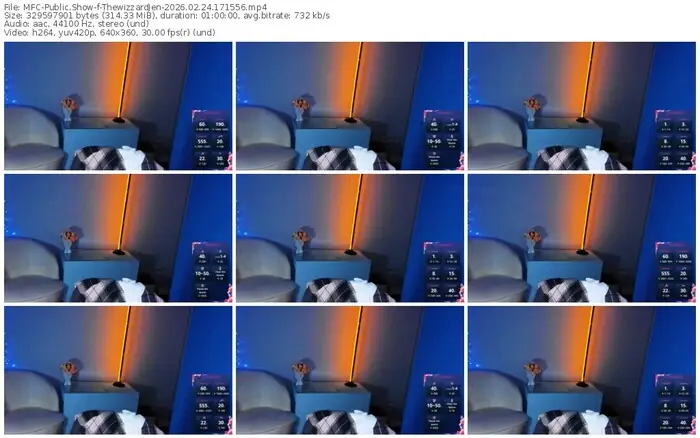 2026/02/24/mfc-thewizzardjen-17-15-56